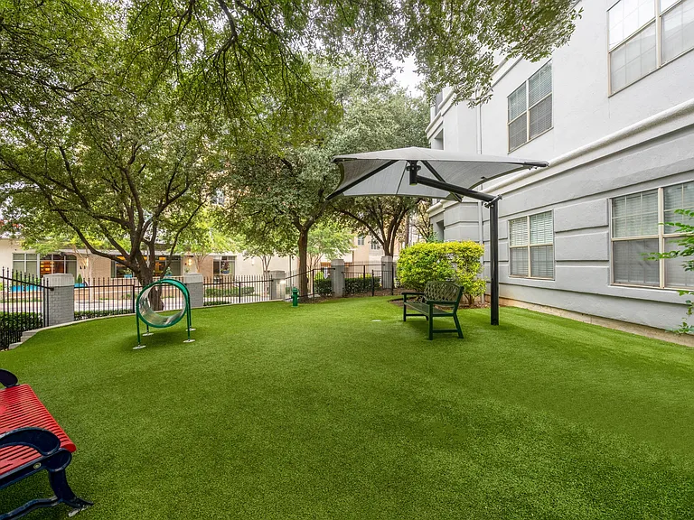 Spacious Dog Park