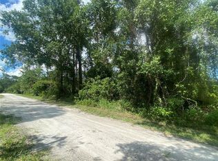909 Juniper Dr, Christmas, FL 32709