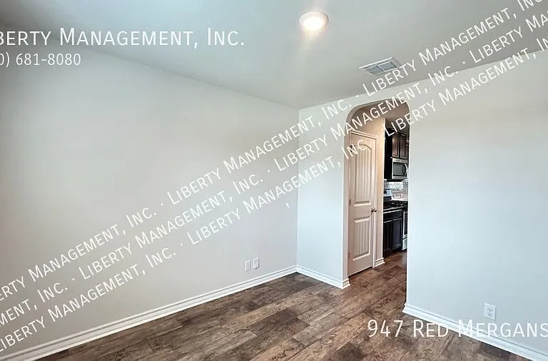 947 Red Merganser — Photo 4