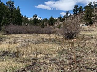 249 Slater Creek Dr, Florissant, CO 80816