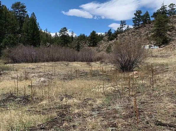 249 Slater Creek Dr, Florissant, CO 80816