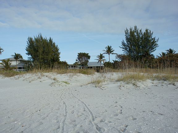 Back of house from beach