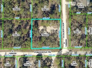 0 Scolder Loop #6, Brooksville, FL 34614