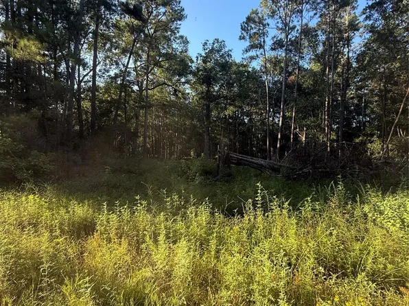 Charlie Pride Dr Lot 34-41, Livingston, TX 77351