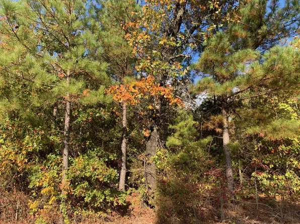 0 Gibson Rd, Homer, LA 71040