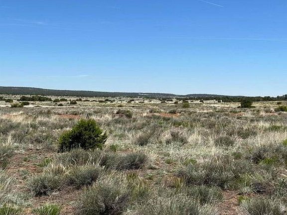 4th image of 139 Blue Hills Trl