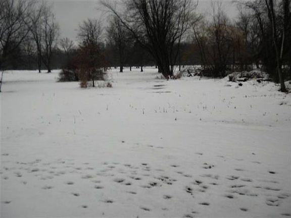 5th image of 7186 Anthony Ct