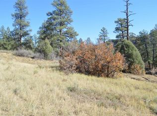 97 Wild Chives Ct, Durango, CO 81301