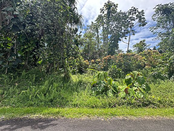 3rd image of Puni Lani Loop S Lot 1717
