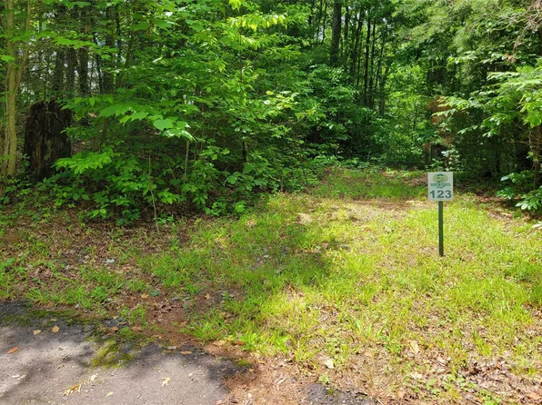 Bear River Lodge Trl #124, Marshall, NC 28753