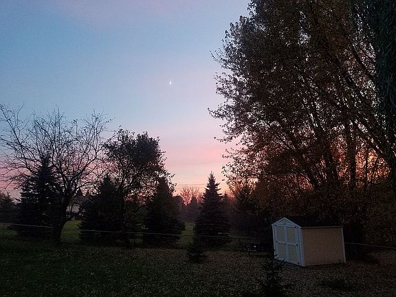 Sunset in backyard