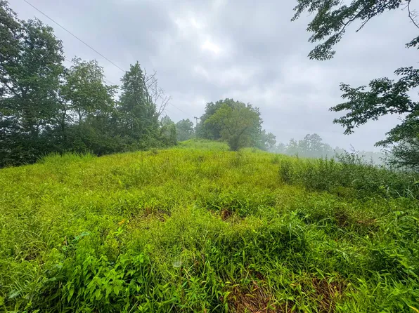 0 Smithville Rd, Harrisville, WV 26362