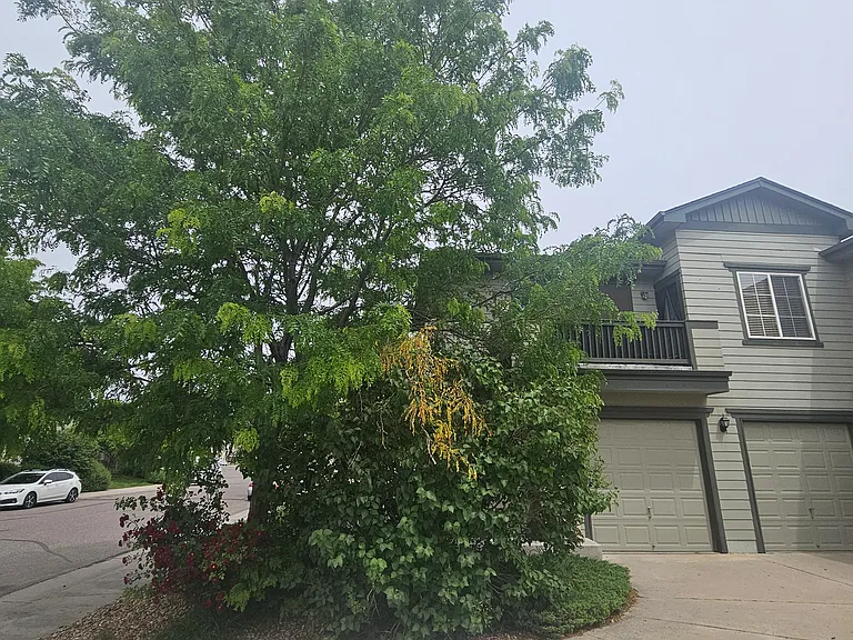 12972 Grant Cir E — Photo 2