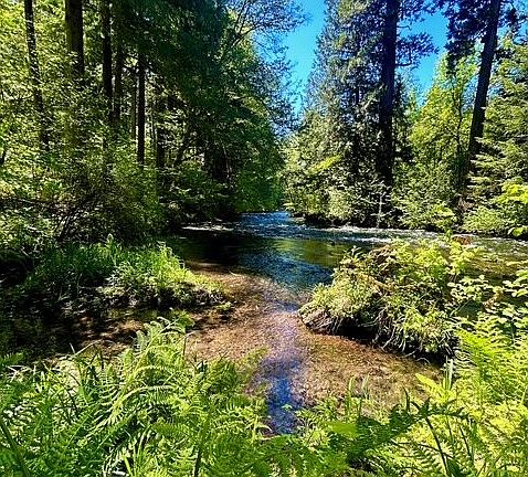 5th image of McKenzie Hwy
