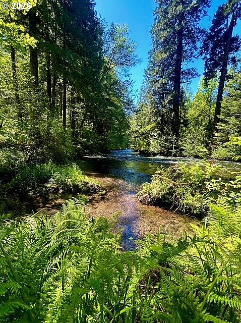 1st image of McKenzie Hwy