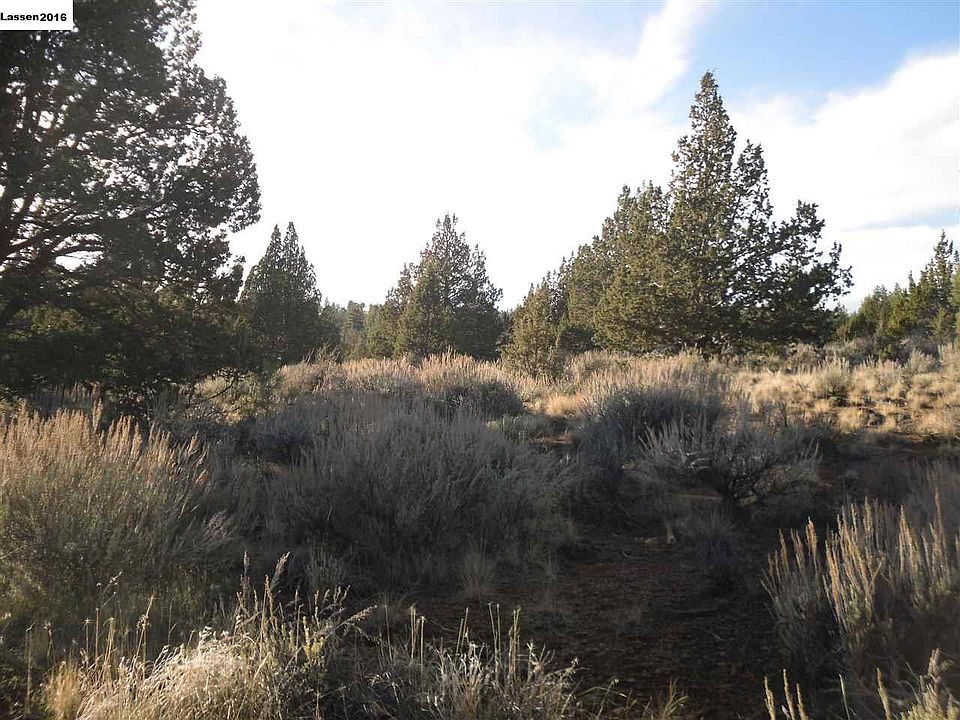 2nd image of 509-995 Stone Rd