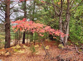 0 Lindroos Rd, Kaleva, MI 49645