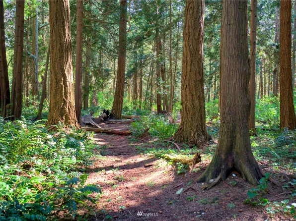 1751 Benson Road, Point Roberts, WA 98281