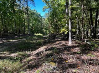 352 Diana Dr, Spring City, TN 37381