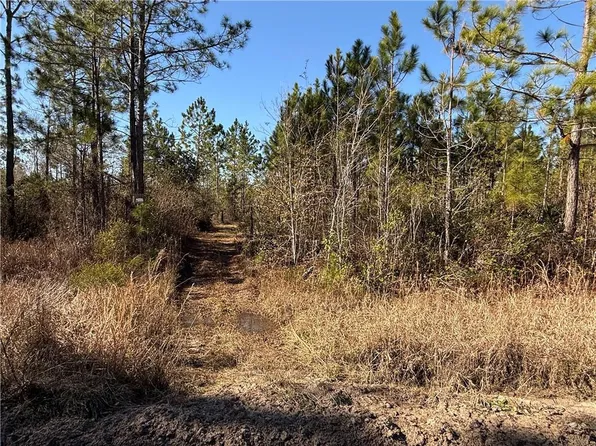0 Elmer Thrift Rd #6, Waycross, GA 31503
