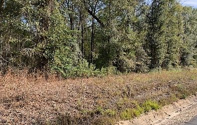 2nd image of SE Red Cason Dr