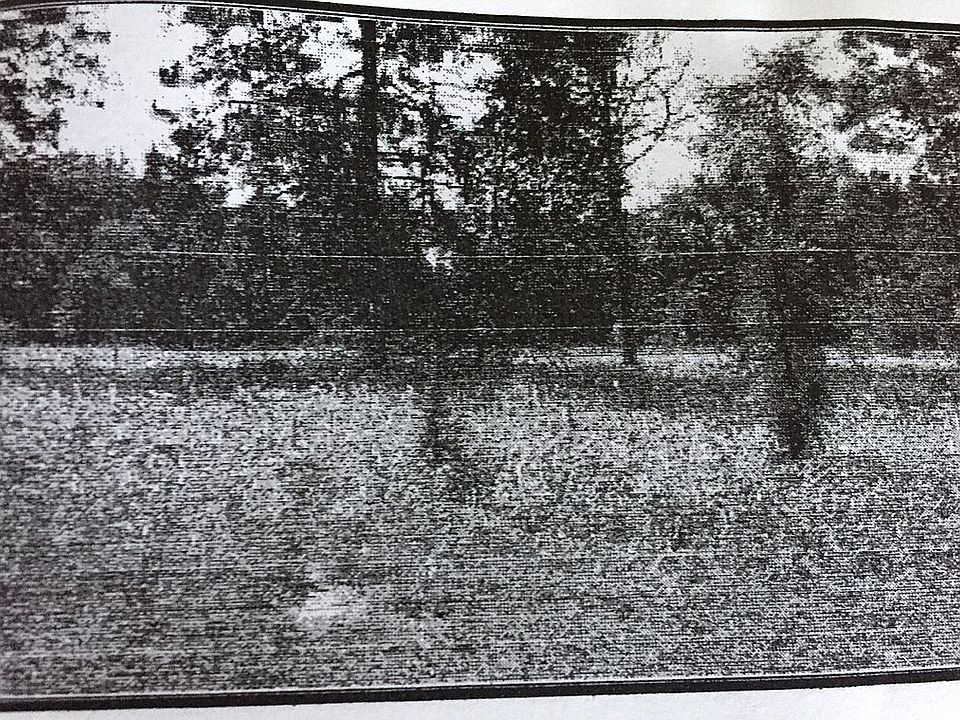 2nd image of 8176 W Previti Ln