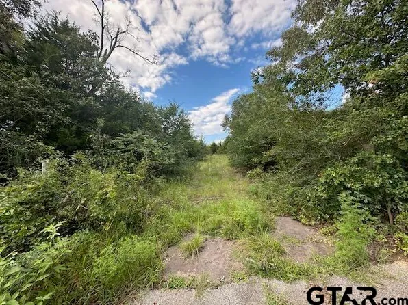 Vz County Road 1823, Grand Saline, TX 75140