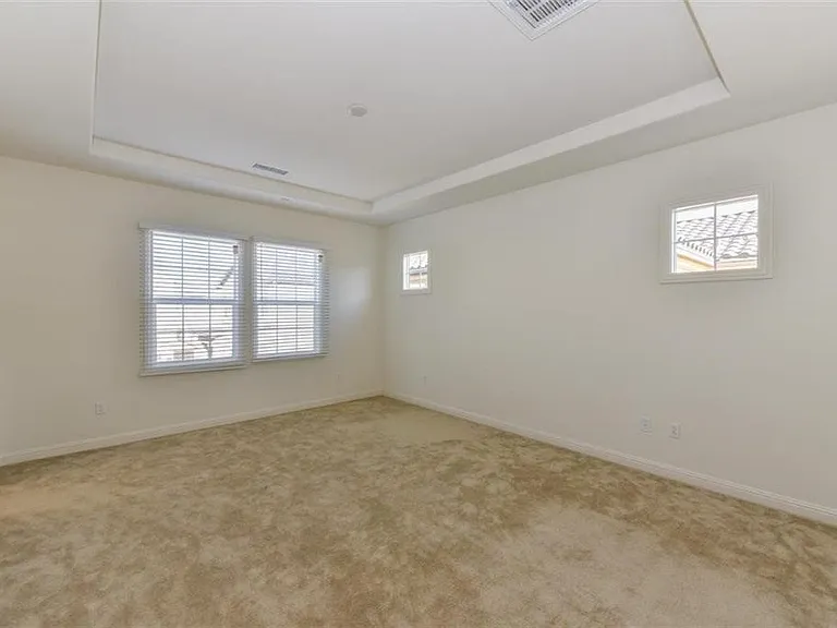16 Torosa — Photo 12