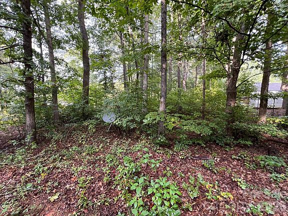 3rd image of 0 Hayes Waters Rd #2