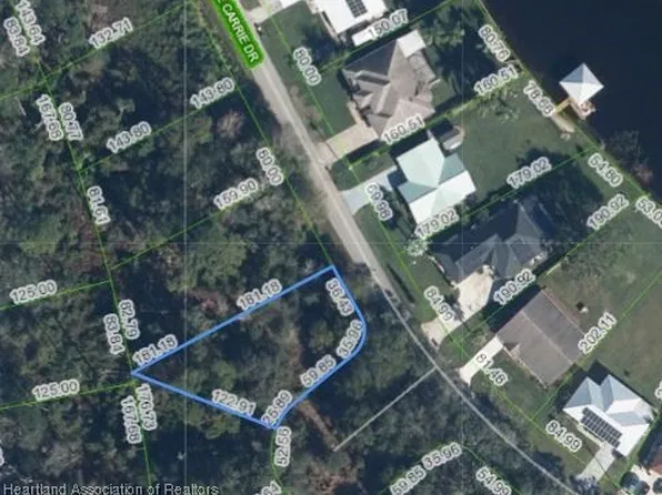 1059 Lake Carrie Dr, Lake Placid, FL 33852