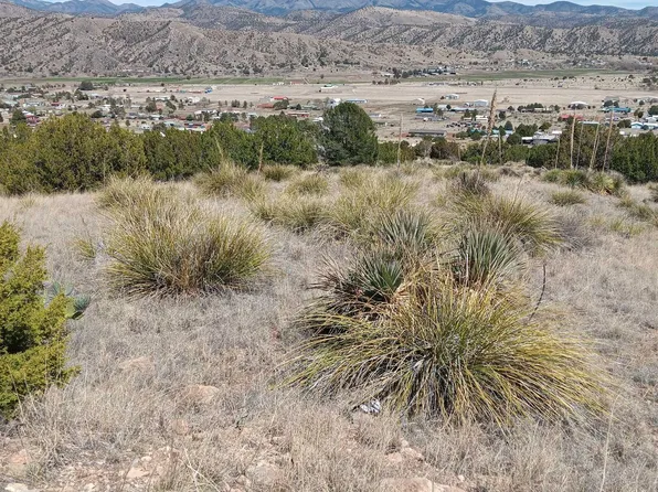 249 Caballo Blanco, Mimbres, NM 88049