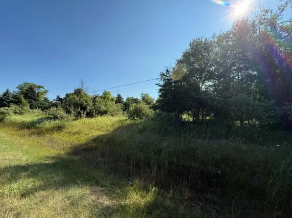 Bellaire Drive Lots 161 #162-163, Harbor Beach, MI 48441