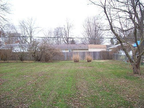 Back yard 1