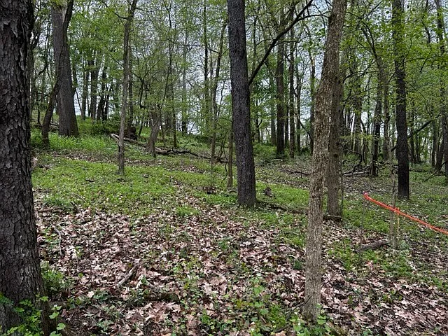 216 Thompsonville Rd photo 1