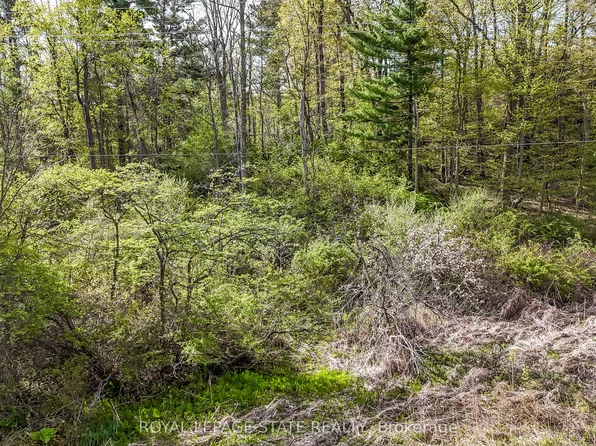 0 Mineral Springs Rd, Hamilton, ON L9H 5E3