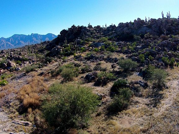 4th image of 1508 W Tortolita Mountain Cir #291