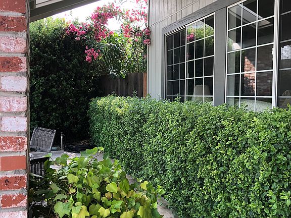 3rd image of 3169 Admiral Dr