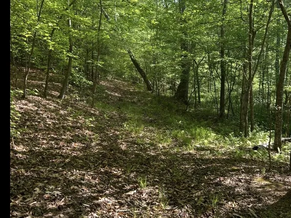 3 Tm #35, King George, VA 22485