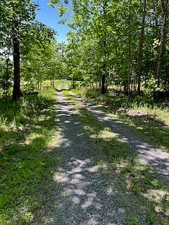 5th image of 663 Lone Mountain Dr