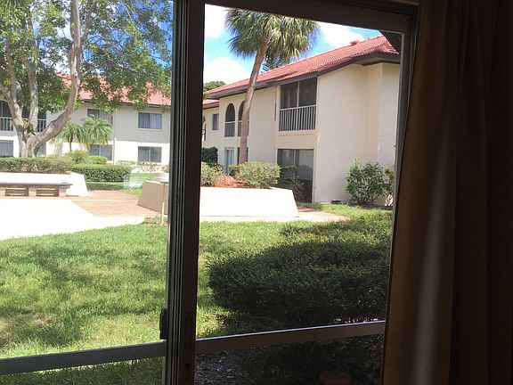 backyard view from lanai