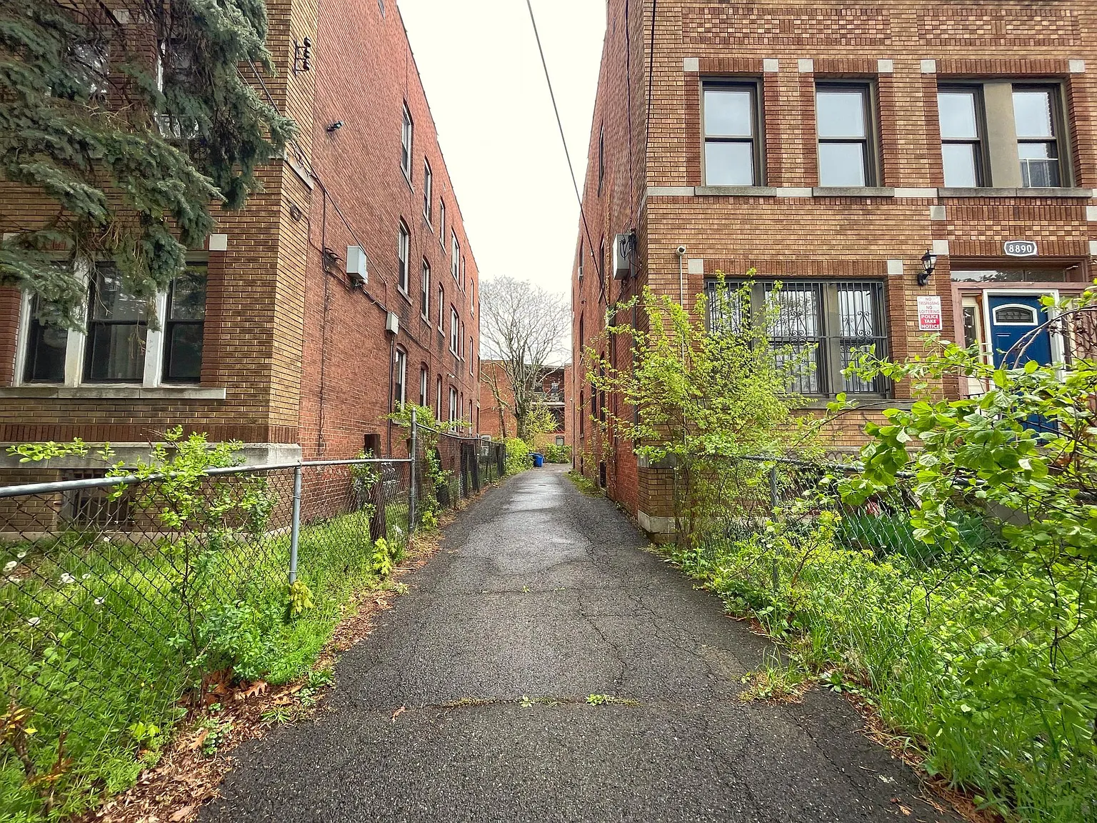 3 bed, 1024 sqft, $1,950 — Photo 2
