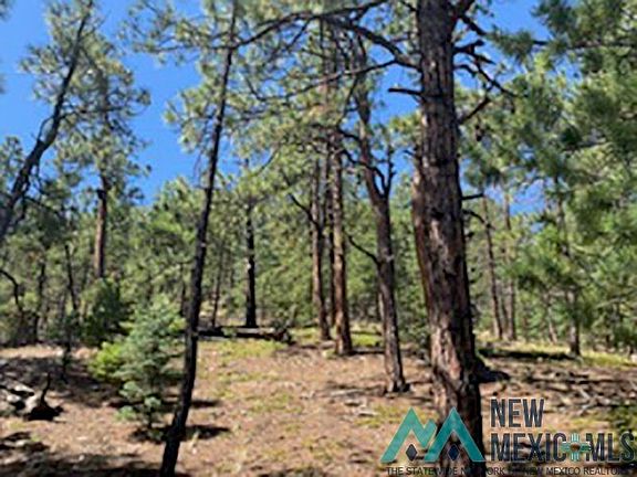 3rd image of 198 Trumble Canyon Rd