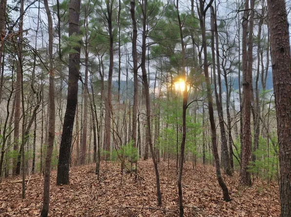 LOT 1665 Hunter Dr, Talking Rock, GA 30175