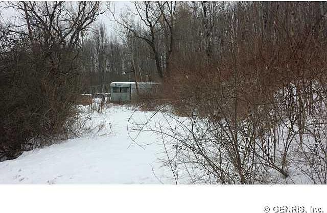 2nd image of 1168 Durkin Hill Rd