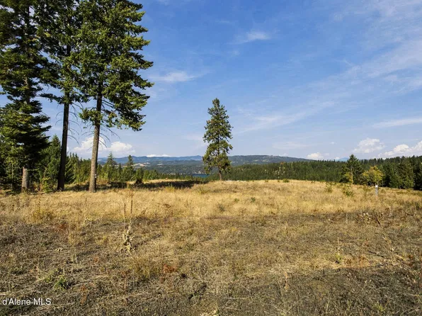 18903 S Hungry Hollow Dr, Harrison, ID 83833