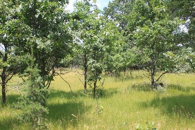 1st image of LOT 1 Elk Ave