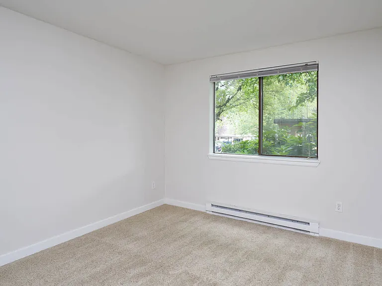 Carpeted Bedroom