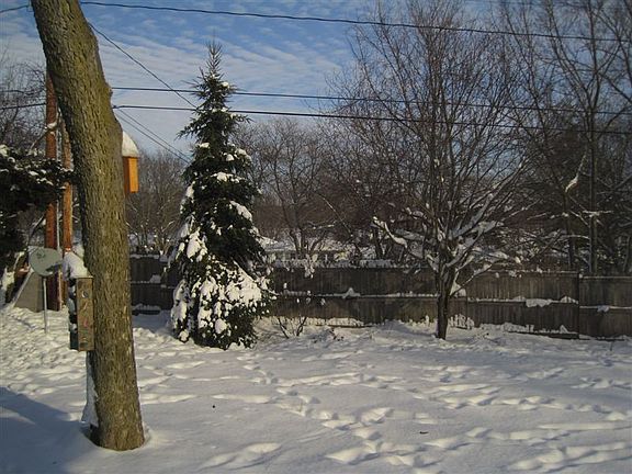 3rd image of 3617 Hovde Rd
