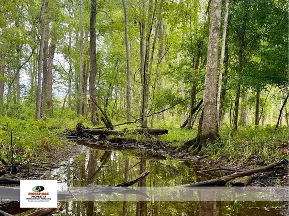 0A Langdale Dr, Walterboro, SC 29488