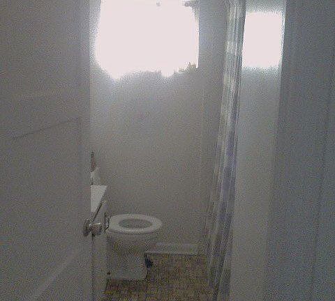 5th image of 336 Meyer Ave